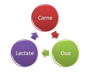 Dieta Dukan: Faza de Stabilizare. Să NU apară Yo-Yo!